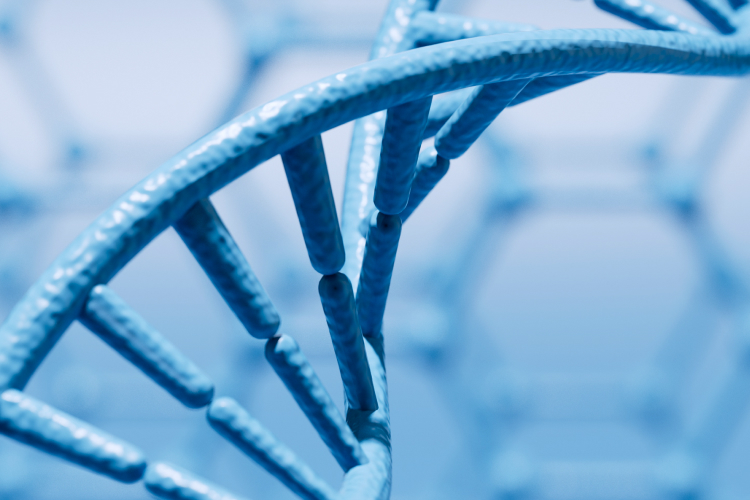 BG��Ѷ����