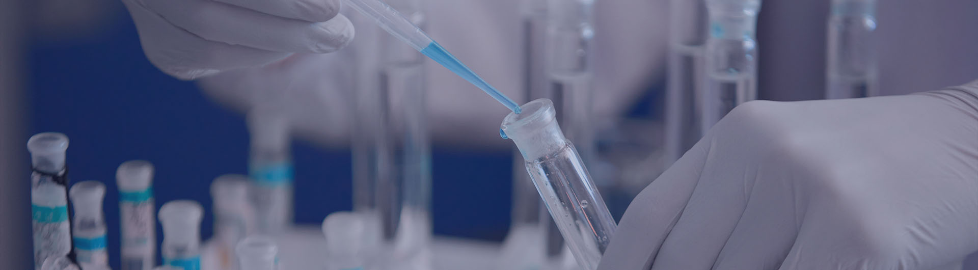 BG��Ѷ����