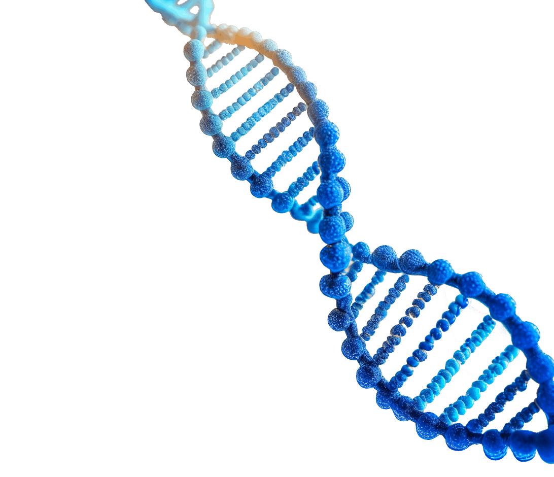 BG��Ѷ����