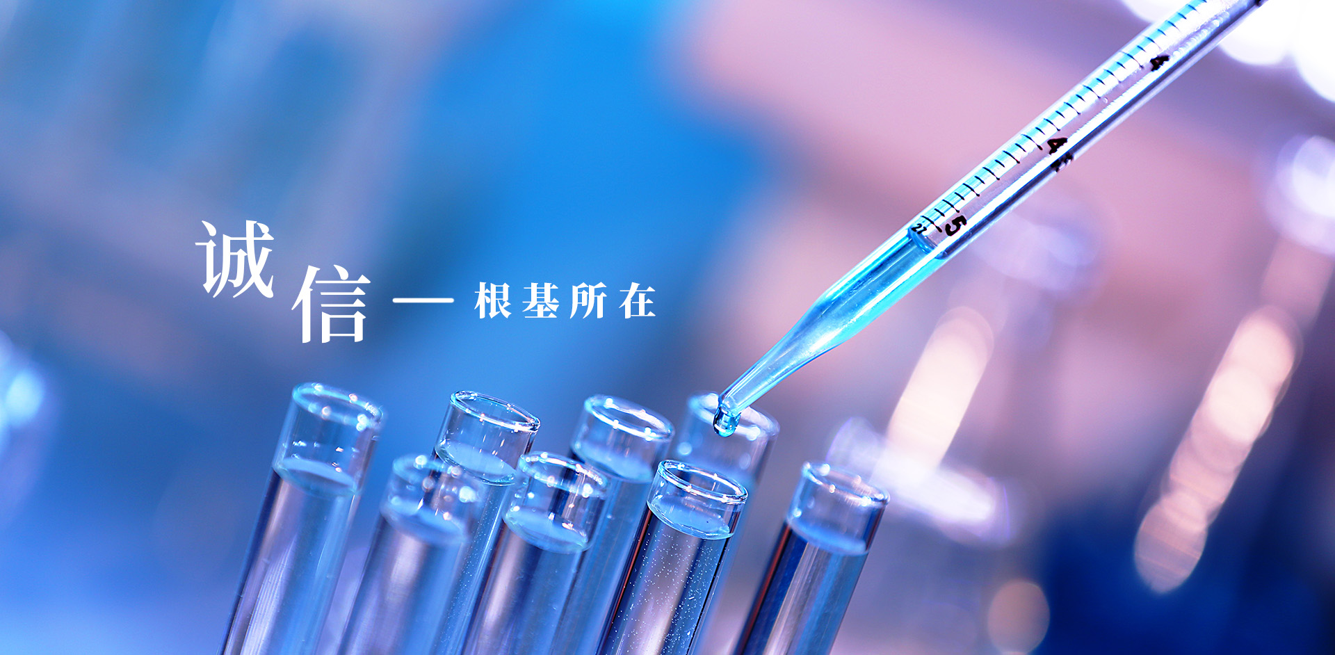 BG��Ѷ����