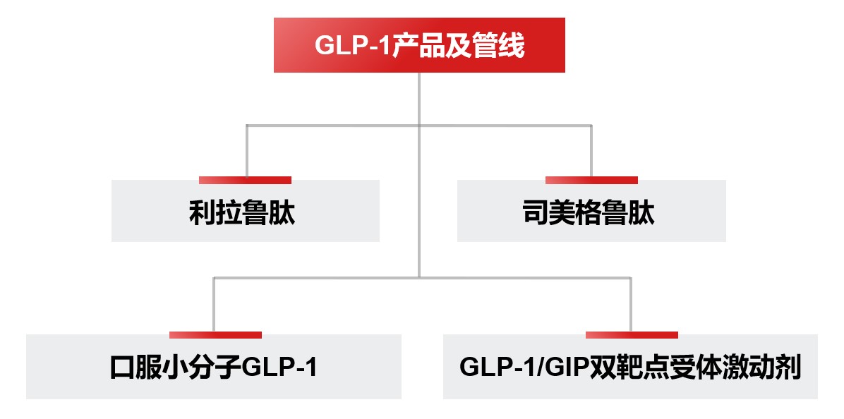 GLP-1��Ʒ����_��ͼ_�б�.jpg